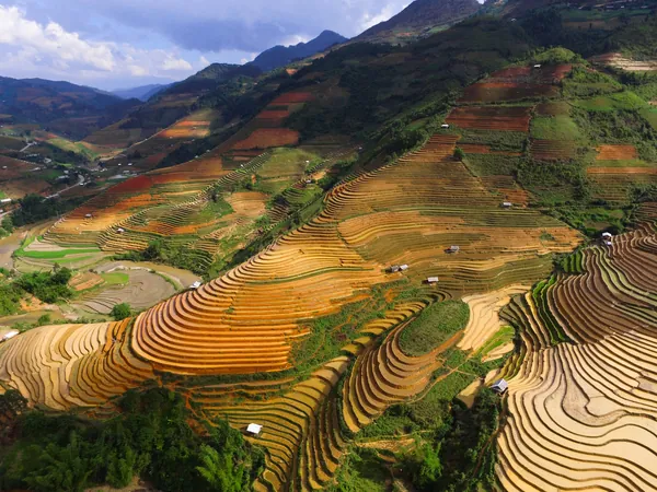Rizières en terrasses à Mu Cang Chai, dans le Nord du Vietnam