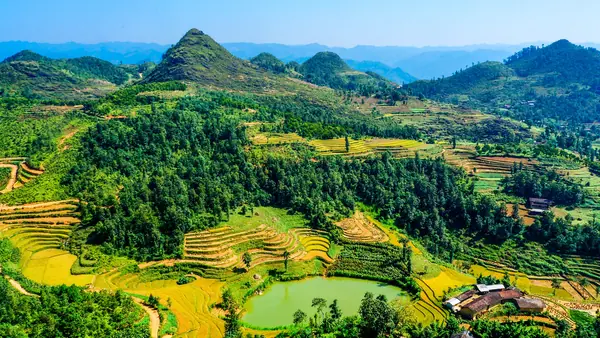 Un village entouré de rizières et de collines dans la province de Ha Giang, au Vietnam