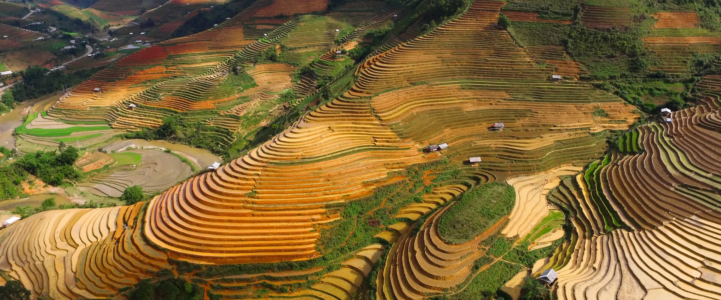 Rizières en terrasses à Mu Cang Chai, dans le Nord du Vietnam